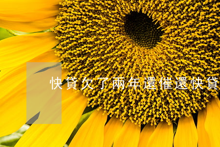 快貸欠了兩年還催還(快貸3年了還一直催)