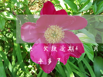 快貸欠款逾期4個月(網(wǎng)貸逾期4年多了)