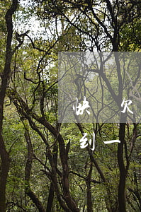 快貸欠錢逾期 催款上門(快貸逾期3年今天收到一條信息說是上門)