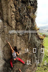 快貸當(dāng)前貸款存在逾期(你的貸款存在逾期,暫時(shí)無(wú)法使用快貸)