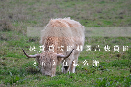 快貸貸款逾期圖片(快貸逾期三年了現(xiàn)在怎么辦)