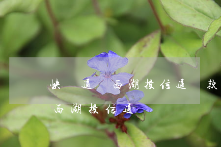 快貸通過西湖投信通還款是真的嗎-快貸和西湖投信通