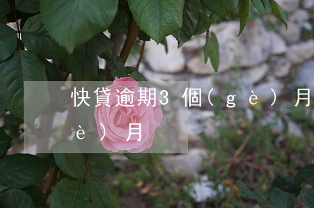 快貸逾期3個(gè)月(快貸逾期3個(gè)月)