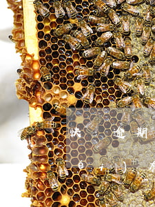 快貸逾期4年現(xiàn)在還款沒(méi)有記錄不-快貸逾期4年現(xiàn)在還款沒(méi)有記錄不了怎么辦
