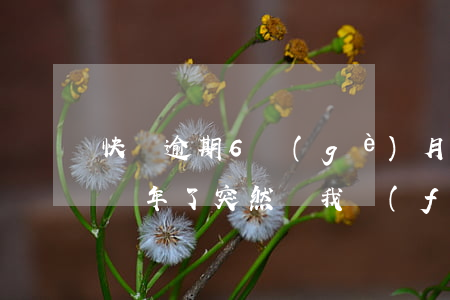 快貸逾期6個(gè)月了怎么辦(快貸逾期兩年了,突然給我發(fā)信息)