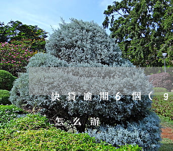 快貸逾期6個(gè)月怎么處理(快貸逾期怎么辦)