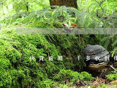 快貸逾期一千多收到律師函