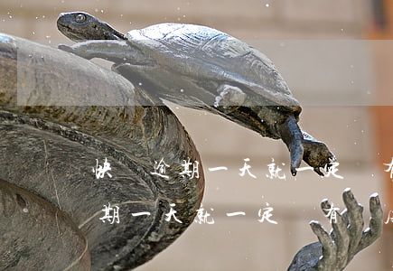 快貸逾期一天就一定沒有額度了么-快貸逾期一天就一定沒有額度了么