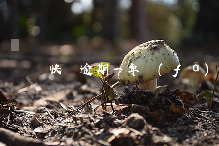 快貸逾期一年發(fā)短信給我了