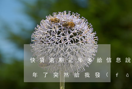 快貸逾期三年多給信息說上法院 快貸逾期兩年了,突然給我發(fā)信息