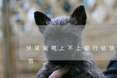 快貸逾期上不上銀行征信(建行快貸上不上征信)