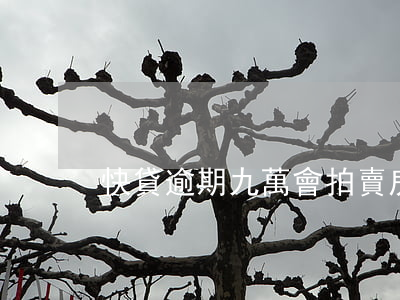 快貸逾期九萬會拍賣房子