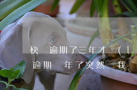 快貸逾期了三年才聯(lián)系我(快貸逾期兩年了,突然給我發(fā)信息)