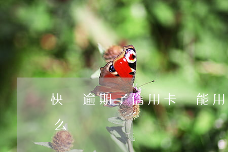 快貸逾期了信用卡還能用嗎(快貸逾期過后怎么還)