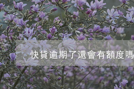快貸逾期了還會有額度嗎