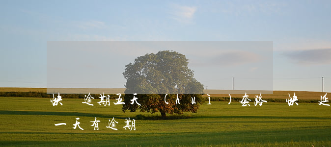 快貸逾期五天會(huì)套路嗎(快貸延遲一天有逾期)