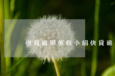快貸逾期催收小組(快貸逾期催收小組投訴)