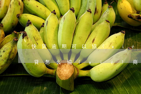快貸逾期可以協(xié)商分期還款嗎(快貸怎么協(xié)商分期還款)