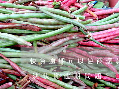 快貸逾期可以協商還款嗎怎么辦，如何協商解決快貸逾期問題？