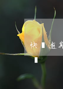 快貸逾期后果是什么意思(快貸逾期會不會上門)