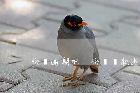 快貸逾期吧-快貸貸款逾期
