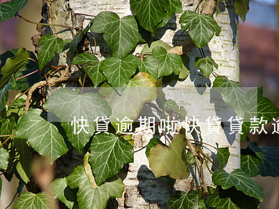 快貸逾期啦，快貸貸款逾期