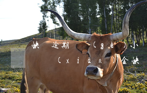 快貸逾期幾個(gè)小時(shí)怎么辦(現(xiàn)金快貸逾期幾年了怎么辦)