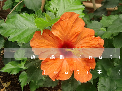 快貸逾期會(huì)套路嗎(很多銀行快貸會(huì)不會(huì)有坑)