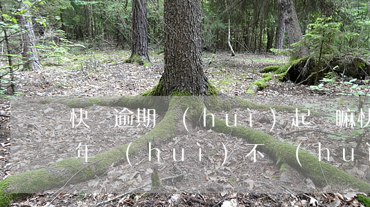 快貸逾期會(huì)起訴嘛(快貸逾期了三年會(huì)不會(huì)被起訴)