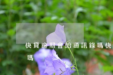 快貸逾期會給通訊錄嗎 快貸逾期會給通訊錄嗎