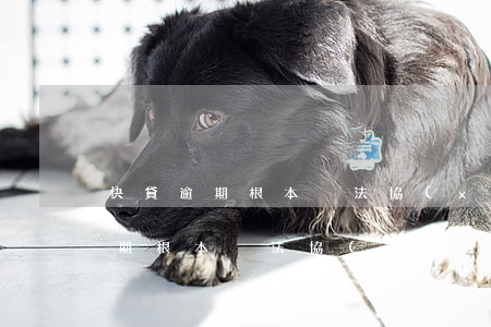 快貸逾期根本沒法協(xié)商嗎(快貸逾期根本沒法協(xié)商嗎)