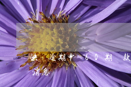 快貸逾期申請60期還款(快貸逾期兩年最新消息)