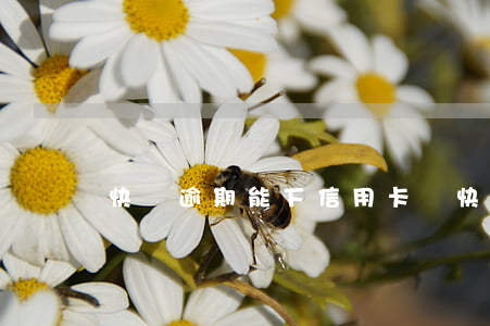 快貸逾期能下信用卡嗎 快貸逾期上征信嗎?