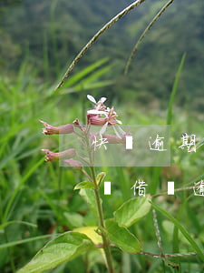 快貸逾期被起訴了會(huì)怎么樣(在快貸借錢逾期了 被起訴怎么辦)