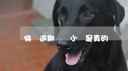 快貸逾期訴訟小組是真的嗎