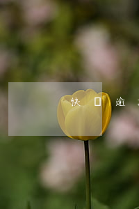快貸逾期起訴(快貸法院起訴)