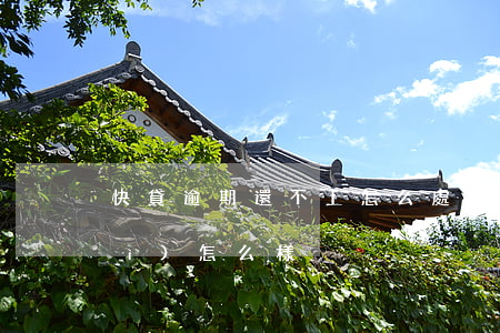 快貸逾期還不上怎么處理(快貸逾期會(huì)怎么樣)