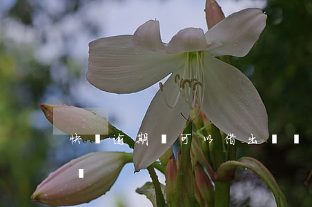快貸逾期還可以借出來嗎(快貸逾期會不會上門)
