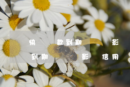 快貸還款到期沒還會影響信用嗎-快貸還款到期沒還會影響信用嗎知乎