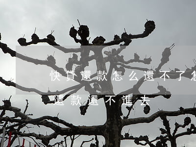快貸還款怎么還不了怎么辦理嗎-快貸怎么還款還不進去