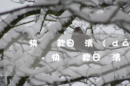 快貸還款日還清當(dāng)天可以申請嗎-快貸還款日還清當(dāng)天可以申請嗎