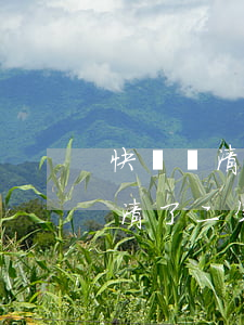 快貸還清了二年后說我逾期不還錢-快貸還清了二年后說我逾期不還錢怎么辦