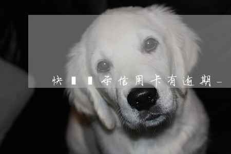 快貸顯示信用卡有逾期-銀行快貸逾期