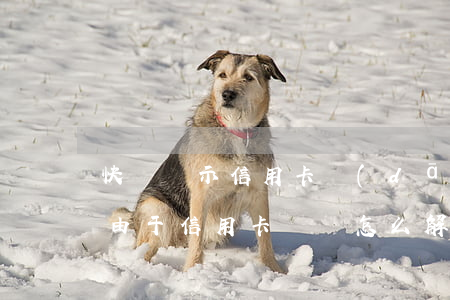 快貸顯示信用卡當(dāng)前逾期(快貸由于信用卡問題怎么解決)