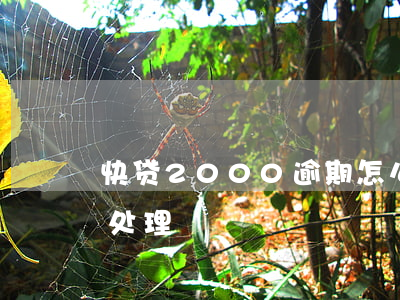 快贷2000逾期怎么办(快贷说有逾期怎么处理)