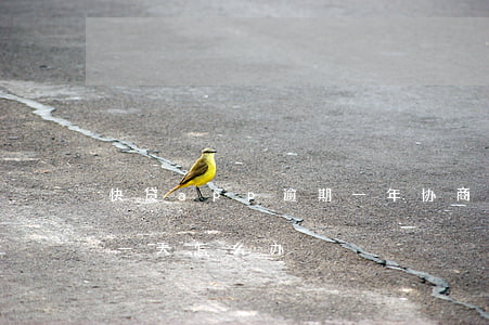 快贷app逾期一年协商还款 快贷还款逾期一天怎么办