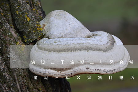 快贷三千逾期三年又突然打电话-快贷三千逾期三年又突然打电话催收