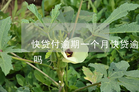 快贷付逾期一个月(快贷逾期一天还能借出来吗)