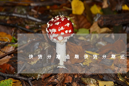 快贷分期逾期(快贷分期还款)