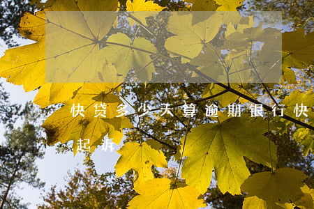 快贷多少天算逾期(银行快贷逾期一般多久会起诉)
